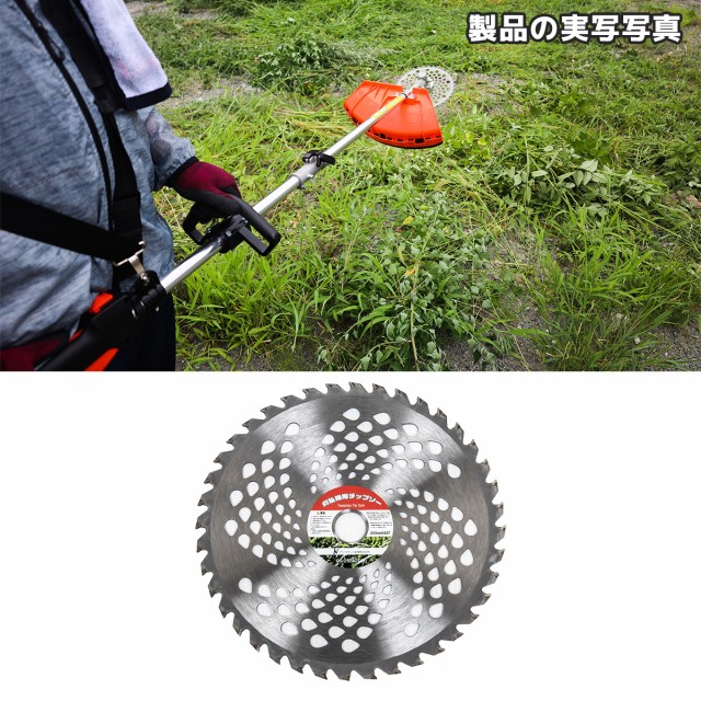 チップソー 替刃 255mm×40T 10枚セット交換 刃こぼれ 草刈機 草刈り機